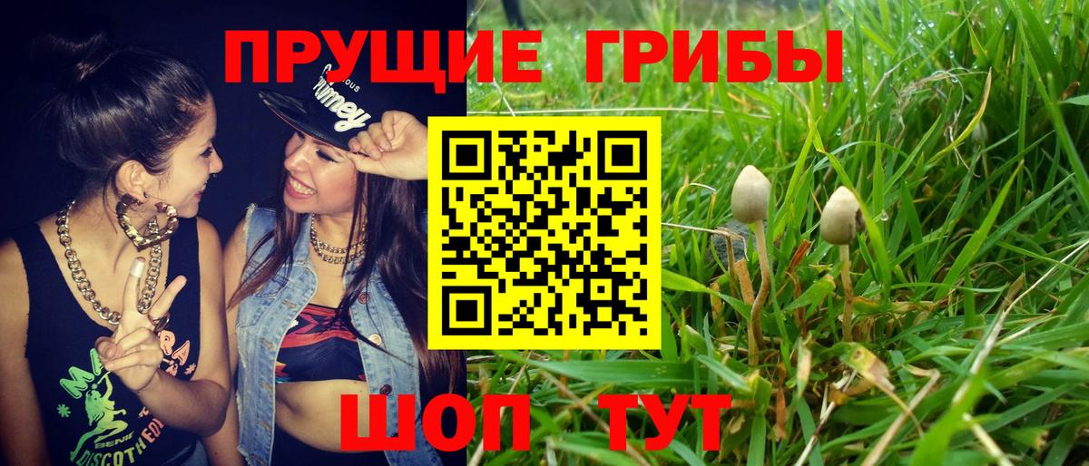 Псилоцибиновые грибы Magic Shrooms  Галлюциногенные грибы Cubensis  Екатеринбург  Вход с VPN 
